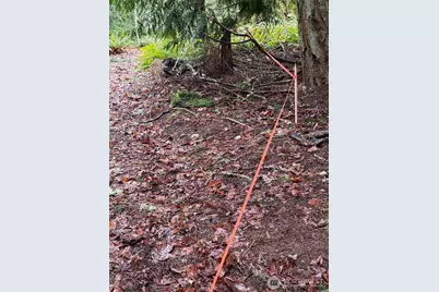 17680 Hallman Road NW, Poulsbo, WA 98370 - Photo 25