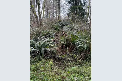 0 Ewing, Clinton, WA 98236 - Photo 11