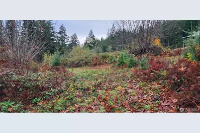 0 E Twanoh Heights Road, Belfair, WA 98528 - Photo 13