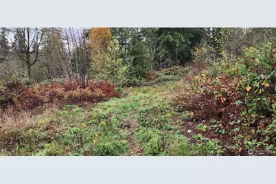 0 E Twanoh Heights Road, Belfair, WA 98528 - Photo 11