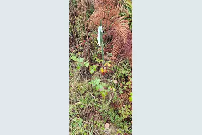 0 E Twanoh Heights Road, Belfair, WA 98528 - Photo 27