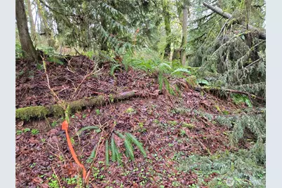 185 Xx 123rd (Northern Lot) Avenue NE, Arlington, WA 98223 - Photo 5