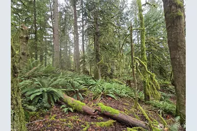 185 Xx 123rd (Northern Lot) Avenue NE, Arlington, WA 98223 - Photo 23