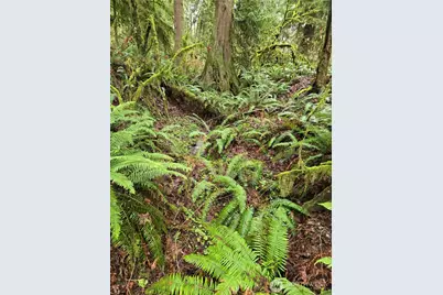 185 Xx 123rd (Northern Lot) Avenue NE, Arlington, WA 98223 - Photo 11