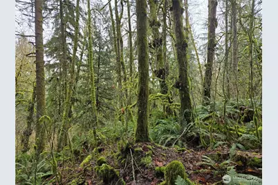 185 Xx 123rd (Northern Lot) Avenue NE, Arlington, WA 98223 - Photo 21