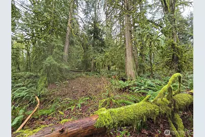 185 Xx 123rd (Northern Lot) Avenue NE, Arlington, WA 98223 - Photo 13