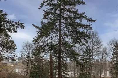 1533 Hill Street, Port Townsend, WA 98368 - Photo 35