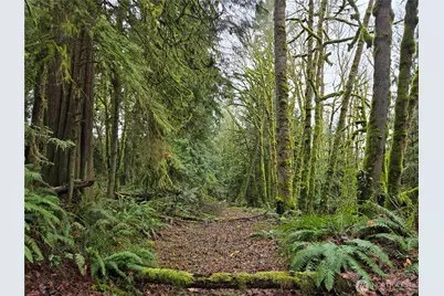 184 Xx 123rd (Central Lot) Avenue NE, Arlington, WA 98223 - Photo 3