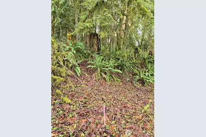 184 Xx 123rd (Central Lot) Avenue NE, Arlington, WA 98223 - Photo 9