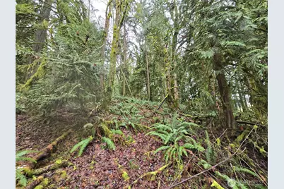 184 Xx 123rd (Central Lot) Avenue NE, Arlington, WA 98223 - Photo 7