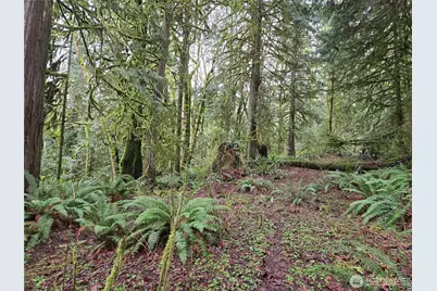 184 Xx 123rd (Central Lot) Avenue NE, Arlington, WA 98223 - Photo 19