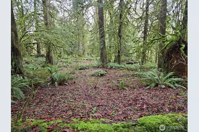 184 Xx 123rd (Central Lot) Avenue NE, Arlington, WA 98223 - Photo 17
