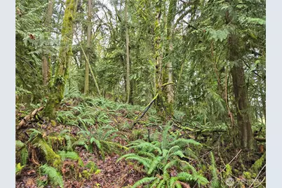 183 Xx 123rd (Southern Lot) Avenue NE, Arlington, WA 98223 - Photo 13