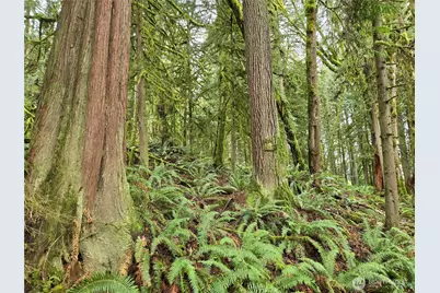 183 Xx 123rd (Southern Lot) Avenue NE, Arlington, WA 98223 - Photo 7