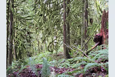 183 Xx 123rd (Southern Lot) Avenue NE, Arlington, WA 98223 - Photo 21