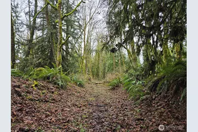 183 Xx 123rd (Southern Lot) Avenue NE, Arlington, WA 98223 - Photo 9