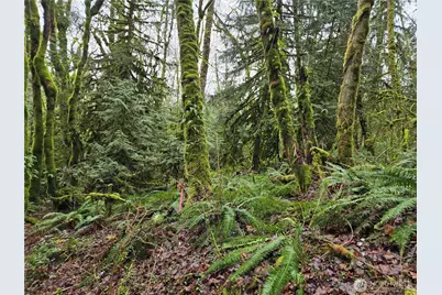 183 Xx 123rd (Southern Lot) Avenue NE, Arlington, WA 98223 - Photo 17