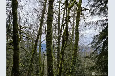 183 Xx 123rd (Southern Lot) Avenue NE, Arlington, WA 98223 - Photo 3