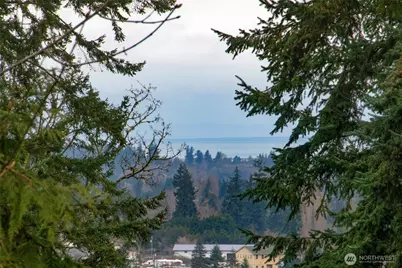 141 Lavender Ridge Lane, Sequim, WA 98382 - Photo 3