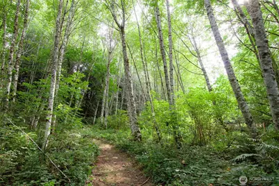 477 Wasankari Road, Port Angeles, WA 98363 - Photo 29