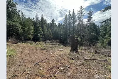 170 Morel Road, Ronald, WA 98940 - Photo 3