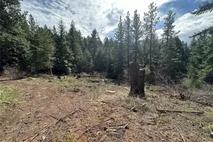170 Morel Rd, Ronald, WA 98940 - Photo 3