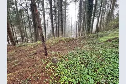 22020 Clearlake Boulevard SE, Yelm, WA 98597 - Photo 3