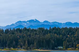 14735 Henderson Rd NE, Bainbridge Island, WA 98110 - Photo 5