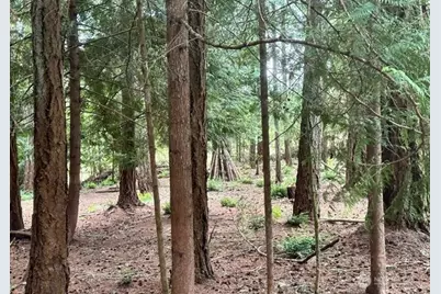 12514 93rd Street Ct, Anderson Island, WA 98303 - Photo 5