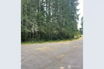 12514 93rd Street Ct, Anderson Island, WA 98303 - Photo 1