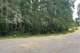 12514 93rd St Ct, Anderson Island, WA 98303 - Photo 1