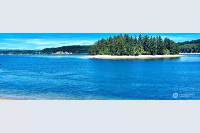 12514 93rd Street Ct, Anderson Island, WA 98303 - Photo 11