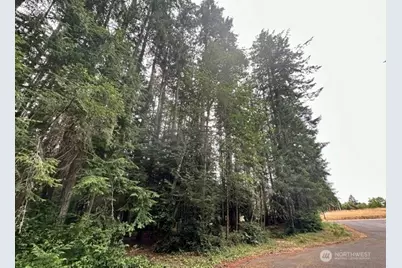 12514 93rd Street Ct, Anderson Island, WA 98303 - Photo 7