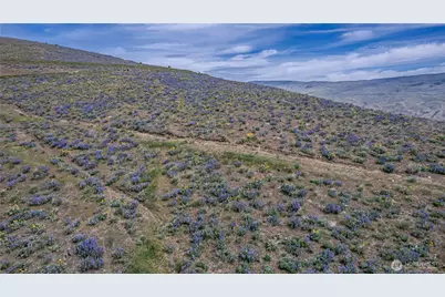 0 Lot 1 Burch Mountain Road, Wenatchee, WA 98801 - Photo 7