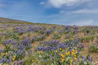 0 Lot 1 Burch Mountain Road, Wenatchee, WA 98801 - Photo 29