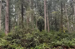 12708 Lovass Rd, Anderson Island, WA 98303 - Photo 1