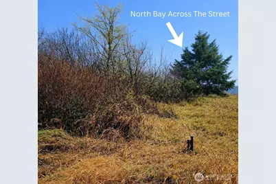 821 Duck Lake Drive NE, Ocean Shores, WA 98569 - Photo 5