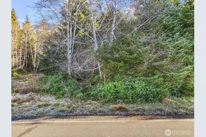 0 Lot 20 Ranta Road, South Bend, WA 98586 - Photo 27