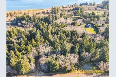 0 Lot 20 Ranta Road, South Bend, WA 98586 - Photo 21