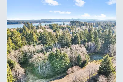 0 Lot 20 Ranta Road, South Bend, WA 98586 - Photo 19