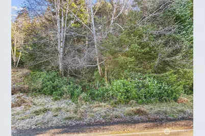 0 Lot 20 Ranta Road, South Bend, WA 98586 - Photo 31