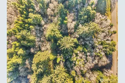 0 Lot 20 Ranta Road, South Bend, WA 98586 - Photo 17