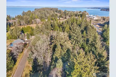 0 Lot 20 Ranta Road, South Bend, WA 98586 - Photo 23