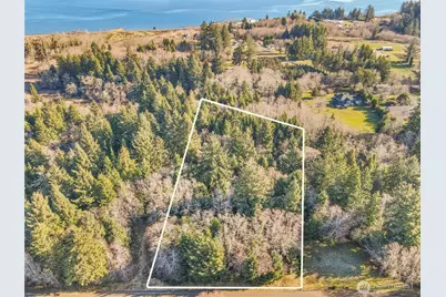 0 Lot 20 Ranta Road, South Bend, WA 98586 - Photo 5