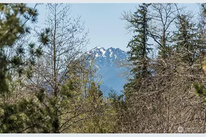 4890 Lost Mountain Road, Sequim, WA 98382 - Photo 31