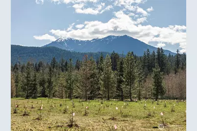 4890 Lost Mountain Road, Sequim, WA 98382 - Photo 21