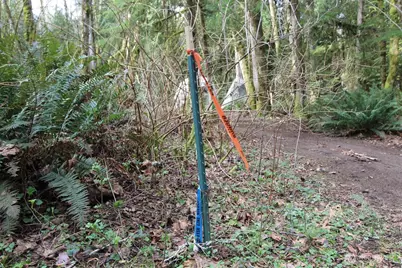 6509 NE Sid Price Road, Poulsbo, WA 98370 - Photo 15