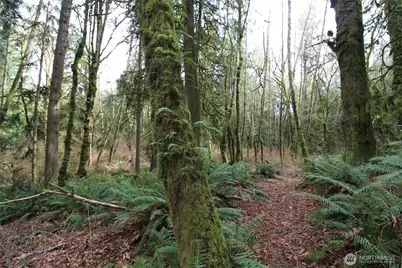 6509 NE Sid Price Road, Poulsbo, WA 98370 - Photo 13