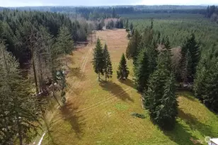 1296 Centralia Alpha Rd, Chehalis, WA 98532 - Photo 29