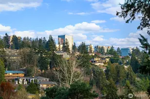 2242 79th Ave NE, Medina, WA 98039 - Photo 33